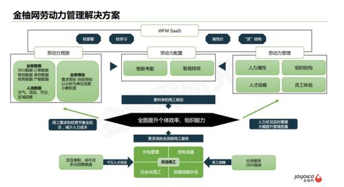 灵活高效的劳动力管理新范式 金柚网SaaS产品创变排班与审批系统