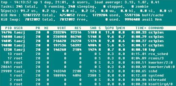基于Linux操作系统的服务器运行参数分析与运维服务实践