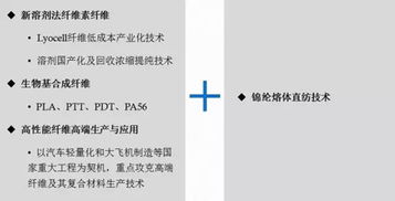 端小平 未来五年,中国化纤科技水平如何达到国际一流